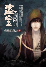 盗宝历险记