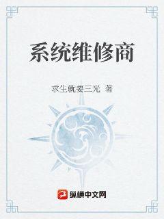 系统维修商