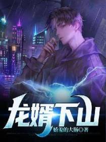 龙婿下山