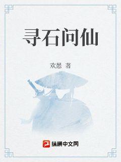 寻石问仙