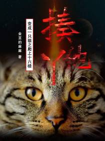 变成一只猫之爬上十六楼揍他丫
