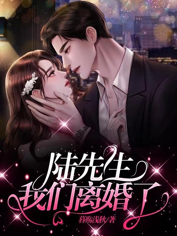 陆先生,我们离婚了