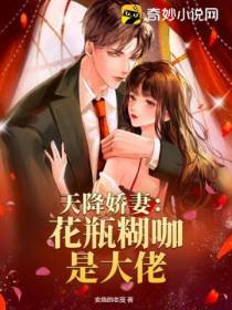 天降娇妻：花瓶糊咖是大佬