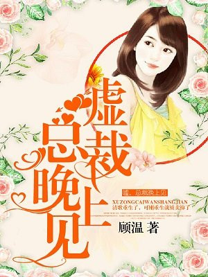 嘘,总裁晚上见