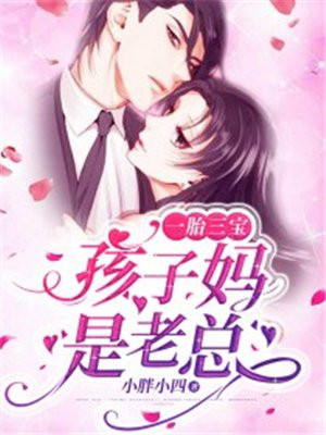 一胎三宝：孩子妈是老总