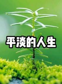 平淡的人生