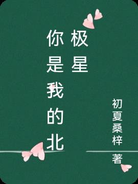 你是我的北极星