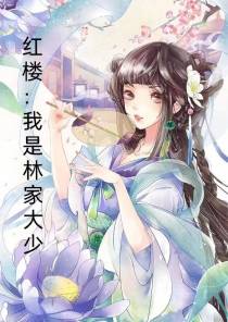 红楼：我是林家大少