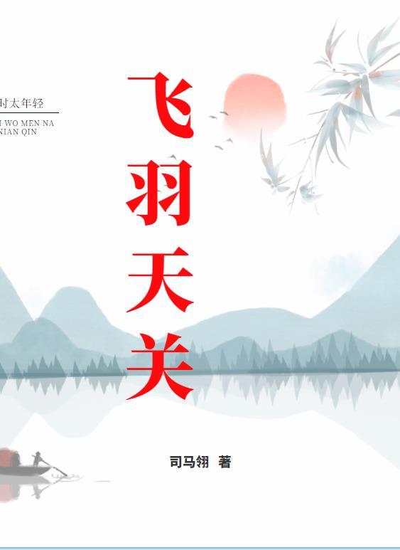 飞羽天关