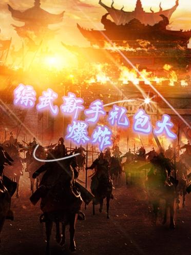 综武新手礼包大爆炸