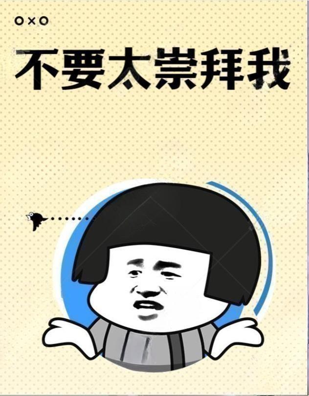 不要太崇拜我