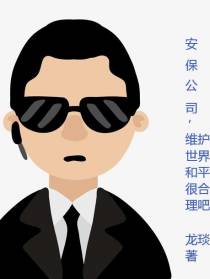 安保公司,维护世界和平很合理吧