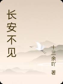 长安不见