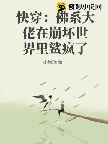 快穿：佛系大佬在崩坏世界里鲨疯了