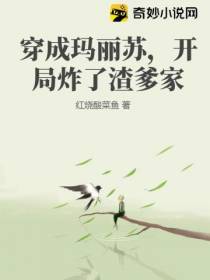 穿成玛丽苏,开局炸了渣爹家