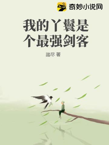 我的丫鬟是个最强剑客