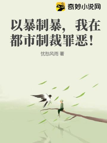 以暴制暴,我在都市制裁罪恶！