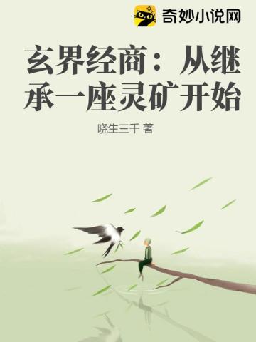 玄界经商：从继承一座灵矿开始