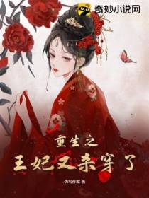重生之王妃又杀穿了