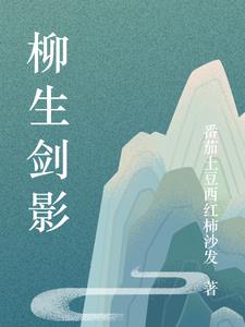 柳生剑影