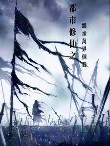 都市修仙之继承万界个我