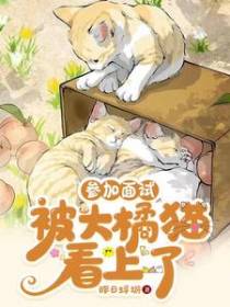 参加面试被大橘猫看上了