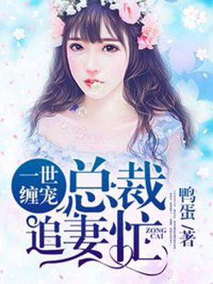 霸爱欢情：总裁,深夜忙