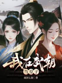 我在武朝当皇子
