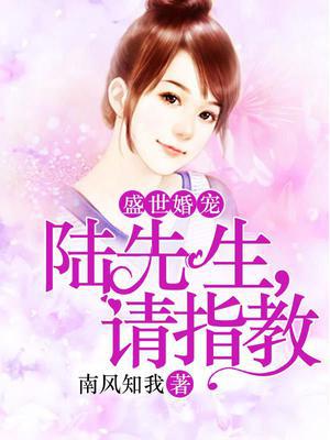 盛世婚宠：陆先生,请指教