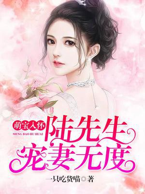 萌宝入怀,陆先生宠妻无度