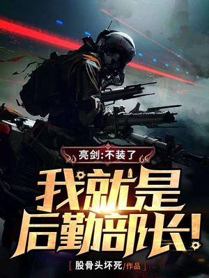 亮剑：不装了,我就是后勤部长！