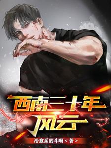 西南三十年风云