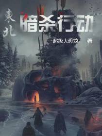 东北暗杀行动