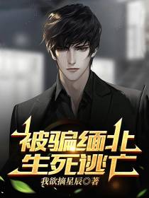 被骗缅北,生死逃亡