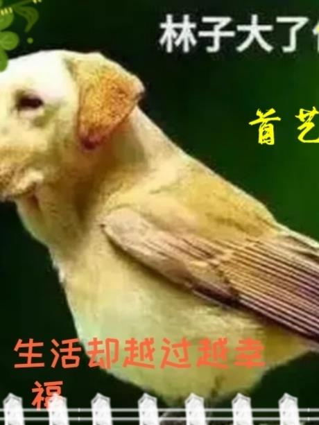 拒绝交流,生活却越过越幸福