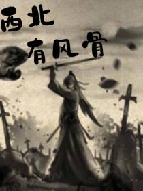 西北有风骨