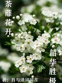 荼靡花开,韶华胜极