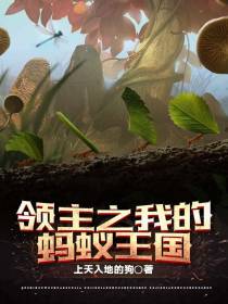 领主之我的蚂蚁王国