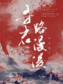 寻君路漫漫