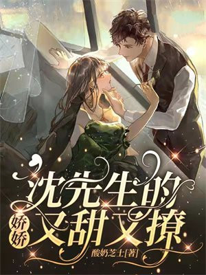 沈先生的娇娇又甜又撩