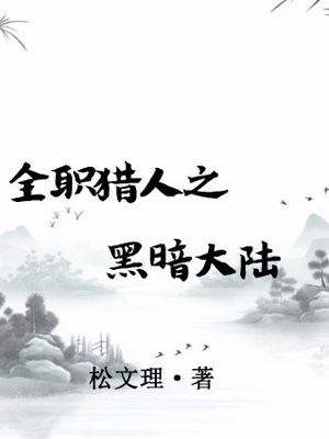 全职猎人之黑暗大陆