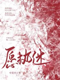 愿执迷