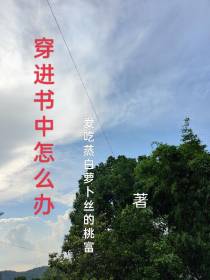 穿进书中怎么办