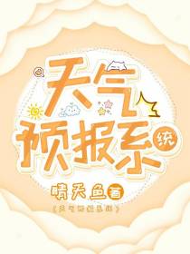 天气预报系统