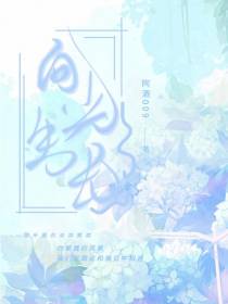 向光生长