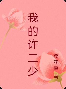 我的许二少