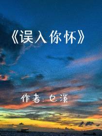 误入你怀