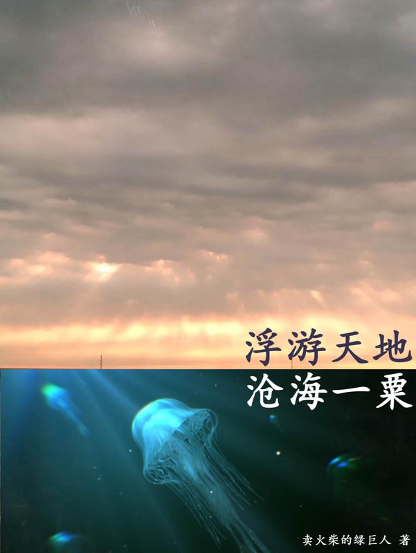 蜉蝣天地沧海一粟