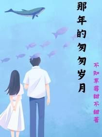 那年的匆匆岁月