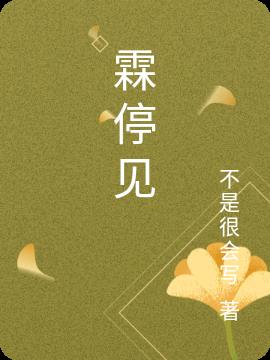 霖停见